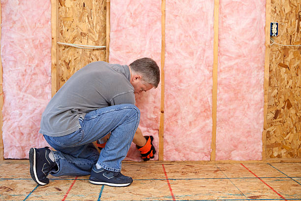 Best Insulation Maintenance and Repair in Wyndham, VA